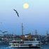 Dört vergi mükellefinden biri İstanbul'da Dört vergi mükellefinden biri İstanbul'da