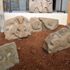 Asırlık aslan kabartmalı taşlar ziyarete açıldı