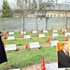 Saldırılar çözüme yönelik bir tavır Saldırılar çözüme yönelik bir tavır