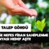 Geleceğe Nefes fidan sahiplenme kampanyası hedef aştı! 11 milyon fidan ne zaman dikilecek?