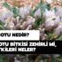 Adamotu nedir? Adamotu bitkisi zehirli mi, yan etkileri neler?