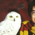 J.K. Rowling'den Noel şerefine 12 Harry Potter hikayesi