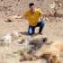 Mersin’de köpek katliamı