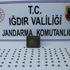 Iğdır'da tarihi eser operasyonu