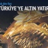 Çin, Türkiye'de altın arayacak