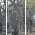 Otobüsün arkasına takılan patenli genç şoförün elinden zor kurtuldu Otobüsün arkasına takılan patenli genç şoförün elinden zor kurtuldu