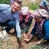 Yırca'da kesilen zeytin ağaçlarının yerine şenlikle yenileri dikiliyor