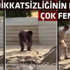 Bölgede sonunda korkulan oldu Bölgede sonunda korkulan oldu