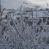 Hakkari'de 271 yerleşim yeri ulaşıma kapandı