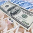 Dolar 2,41 TL'yi aşarak yeni rekor kırdı