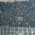 Fenerbahçe'den taraftarına teşekkür Fenerbahçe'den taraftarına teşekkür