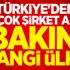 İşte Türkiye'de en çok şirket alan ülke İşte Türkiye'de en çok şirket alan ülke