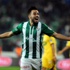 Timsahtan koptu, Fenerbahçe yolunda