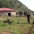 Muğla hayalini gerçekleştirip, köyüne 10 milyon liralık ... Muğla hayalini gerçekleştirip, köyüne 10 milyon liralık ...
