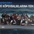 Göçmenleri köpekbalıklarına atıyorlar
