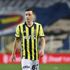 Paslanmaz çelik Mesut