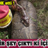 Her 10 kadından biri vajinismus sorunu yaşıyor