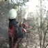 Beykoz'da ormanlık alanda yangın Beykoz'da ormanlık alanda yangın