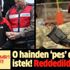 Ömer Halisdemir'i şehit eden darbeci Fatih Şahin'e ret kararı!