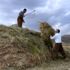 Şırnak ta saman hasadı başladı