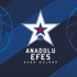 Top 16 öncesi Anadolu Efes..