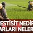Pestisit nedir? İlaçlarda kullanılan Pestisit zararları, türleri ve etkileri nelerdir?