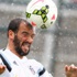 Beşiktaş'a kötü haber