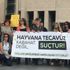 Kediye tecavüz davasında indirimsiz 3 yıl hapis cezası Kediye tecavüz davasında indirimsiz 3 yıl hapis cezası