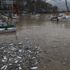 Zonguldak Limanı sarıya boyandı Zonguldak Limanı sarıya boyandı
