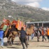 Söke'de Deve Güreşlerine Yoğun İlgi