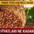 Fındık fiyatı son dakika belli oldu! TMO fındık fiyatını ne kadar açıkladı? Fındık fiyatı son dakika belli oldu! TMO fındık fiyatını ne kadar açıkladı?