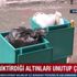 Biriktirdiği altınları unutup çöpe attı Biriktirdiği altınları unutup çöpe attı