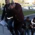Çelik kasa hırsızlarını 'sarı levye' yakalattı
