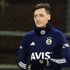 Kupa kozu Mesut Kupa kozu Mesut