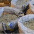 Cesedin midesinden bakın ne çıktı? Cesedin midesinden bakın ne çıktı?