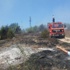 Alaplı’da 4 Dönümlük Çalılık Alanda Yangın Çıktı Alaplı’da 4 Dönümlük Çalılık Alanda Yangın Çıktı