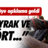 Böbrek taşı düşüren grebolu meyvesi toplanmaya başladı Böbrek taşı düşüren grebolu meyvesi toplanmaya başladı