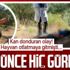 Bursa'da kan donduran olay: Ormanda erkek cesedi bulundu!