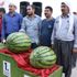 Diyarbakır’ın en ağır karpuzu seçildi