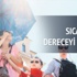 Avrupa'da 'asrın yazı'