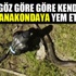 Göz göre göre anakondaya yem oldu!