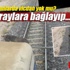 Eşeği raylara bağlayıp ölüme terk ettiler