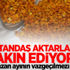 Arı sütü ve polen, gün boyu tok tutuyor Arı sütü ve polen, gün boyu tok tutuyor