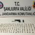 Şanlıurfa'da 130 sikke ele geçirildi