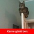 Karne günü capsleri Karne günü capsleri