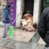 Fatih'te battaniyeye sarılı bir kişinin cansız bedeni bulundu