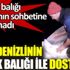 ﻿Karadenizlinin köpek balığı ile dostluğu