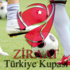 Ziraat Türkiye Kupası kuraları çekildi