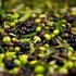 Zeytin yemek hastanenin yolunu unutturuyor
