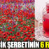 Gelincik şerbeti nasıl yapılır. Gelincik şerbetinin faydaları Gelincik şerbeti nasıl yapılır. Gelincik şerbetinin faydaları